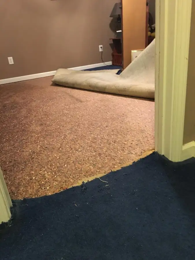Carpet pad removal revealing water damage during Water Mitigation Services in Live Oak
