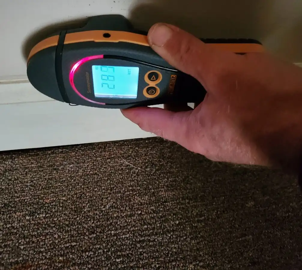 Moisture detection at baseboard during Sewage Cleanup & Sanitation in Live Oak